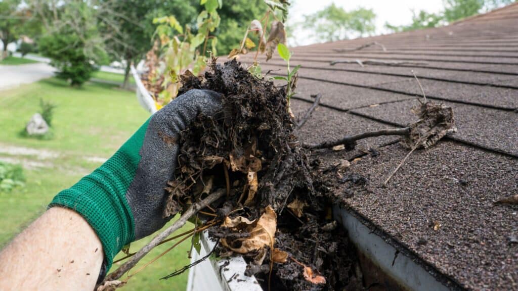 A person wearing a green glove is cleaning a rain gutter, removing clumps of wet leaves and debris from the house roof as if tackling chimney cleaning. In the background, a grassy lawn and some trees create a serene backdrop for this essential maintenance task.